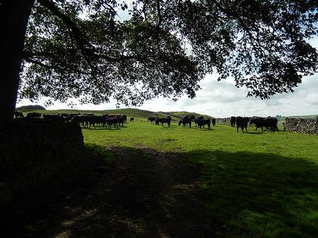 Dovedale and Wolfscote Dale (Part 1)