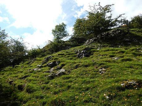 Dovedale and Wolfscote Dale (Part 1)