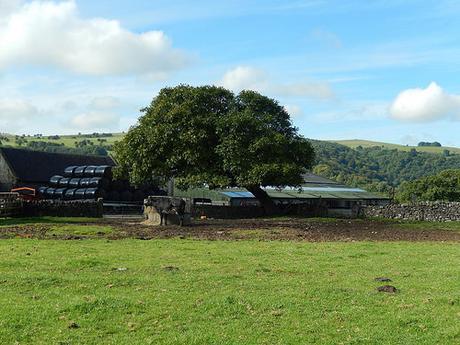 Dovedale and Wolfscote Dale (Part 1)