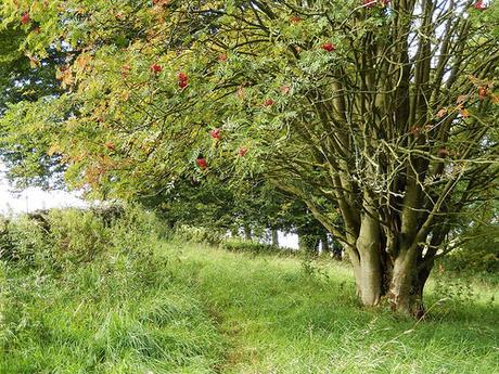 Dovedale and Wolfscote Dale (Part 1)