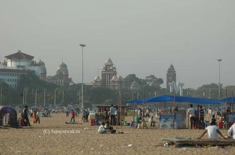 the wheeled dog at Marina ~the kindness and care of its owner