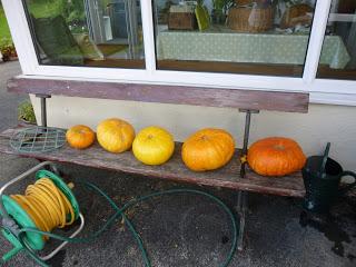 Spoons and Pumpkins