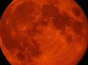 Silly Signs Petty Portents: Dread 'Blood Moon' Radical Right Wing Nuts