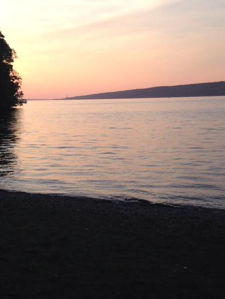 Summer Roundup | 2015 Edition