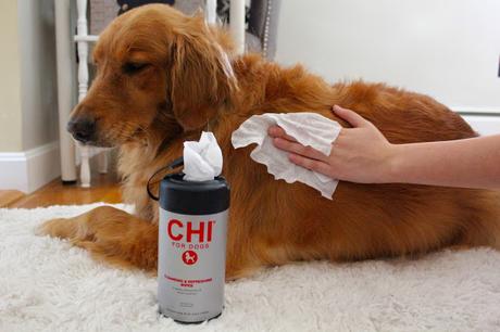 Grooming your dog at home with CHI for Dogs cleansing and refreshing wipes