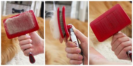 Grooming your dog at home with CHI for Dogs Self Cleaning and Pivoting Slicker Brush