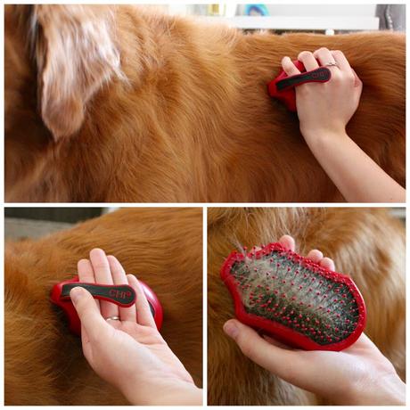 Keeping your dogs coat tangle-free and shiny with CHI for Dogs soft grip pin brush