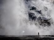 Yosemite: Where Wild Things