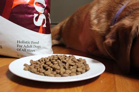 Healthy Holistic Solid Gold Dog Food