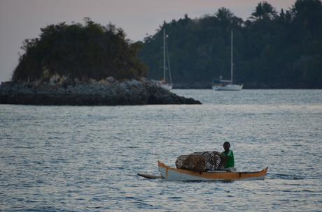 fishseller