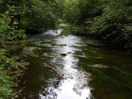 Dovedale and Wolfscote Dale (Part 2)