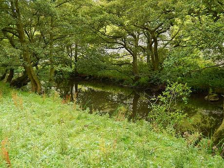 Dovedale and Wolfscote Dale (Part 2)