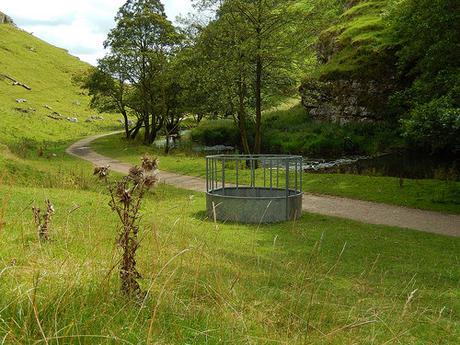 Dovedale and Wolfscote Dale (Part 2)