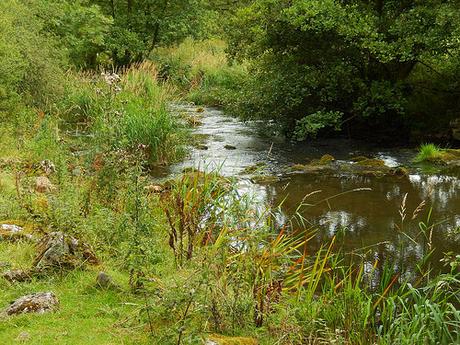 Dovedale and Wolfscote Dale (Part 2)