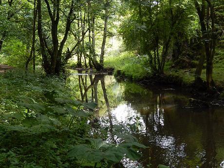 Dovedale and Wolfscote Dale (Part 2)