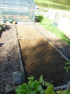 The Last of the Potatoes Harvested