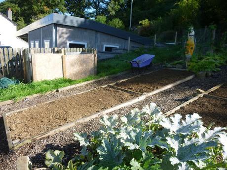 The Last of the Potatoes Harvested