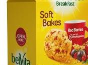 Today's Review: Belvita Soft Bakes: Berries