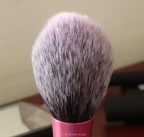 Real Techniques by Sam n Nic Chapman Blush Brush Review Prices Availability in India