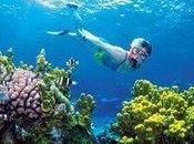 Assumed #fish Didn’t Care About Each Other. Were Wrong.