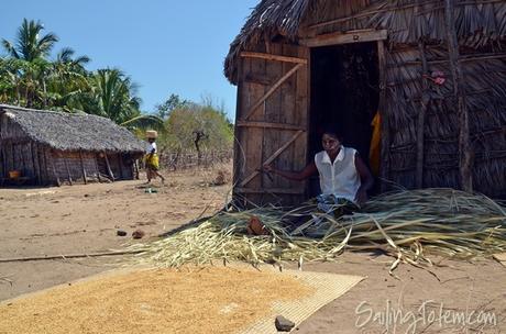 dry rice