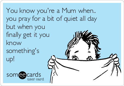 You know you're a Mum when...