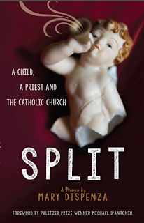 Mary Dispenza's Powerful Memoir SPLIT: Moving from Childhood Rape Priest Catholic Institutional Abuse Lesbian Live with Consequences Love