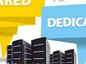 Shared Hosting Dedicated Which Best You?