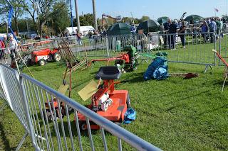 The Malvern Autumn Show - of long carrots and rabbits