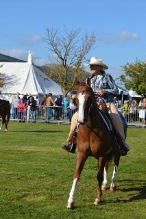 The Malvern Autumn Show - of long carrots and rabbits