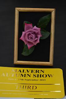 The Malvern Autumn Show - of long carrots and rabbits