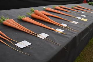 The Malvern Autumn Show - of long carrots and rabbits