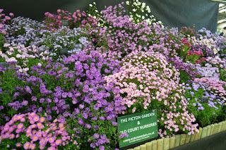 The Malvern Autumn Show - of long carrots and rabbits