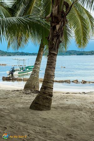 Palm trees, boats and beaches are the call of the day in Bocas Del Toro, Panama.