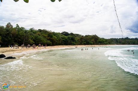 Red Frog Beach on Isla Bastimentos.