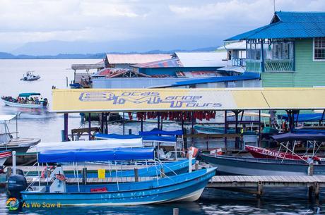 Catch a boat tour from the marina.