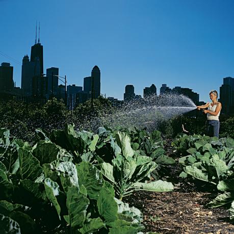 city farm garden thumbnail