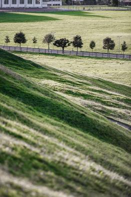 DSC_7835