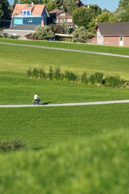 DSC_7750