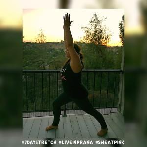 liveinprana #sweatpink yoga warrior