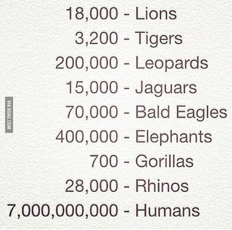 Where We’re Headed