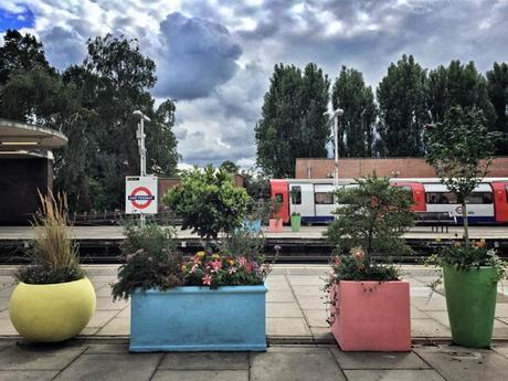 The London Nightly Photoblog 03:10:15 #EastFinchley