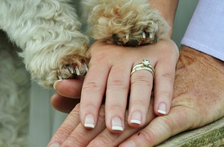 A Bright & Beautiful DIY Farm Wedding by Fantail Photography