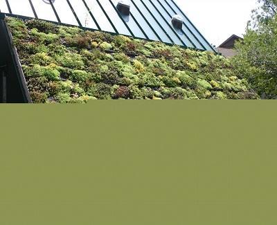 The Difference Between Cool Roofs and Green Roofs Difference Between Cool Roofs and Green Roofs3