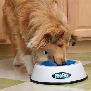 GOOD IDEA... or WASTE OF MONEY? Cooling Pet Bowl