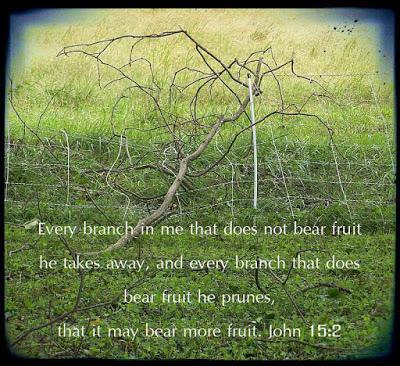 Scripture photo and sermon recommendation