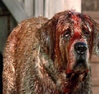 cujo