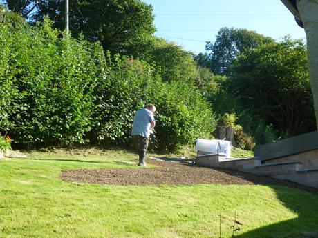 Rhubarb and Ginger Jam