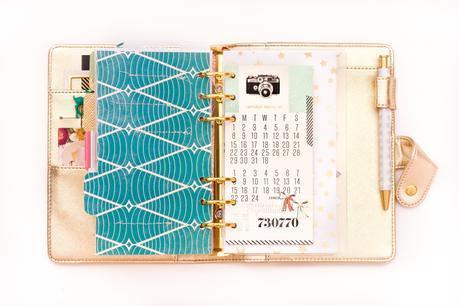  photo IMG_4708_zps8svpamup.jpg