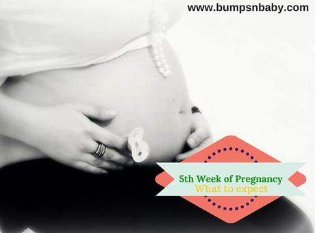 5 Weeks Pregnant – What To Expect ( A Complete Guide)